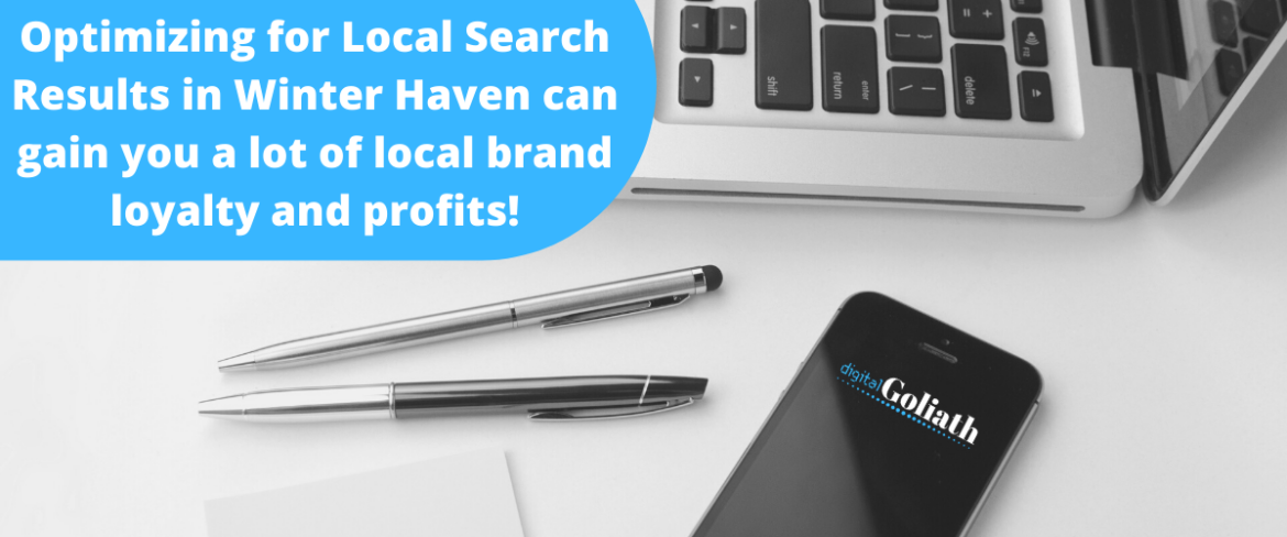 winter haven seo experts