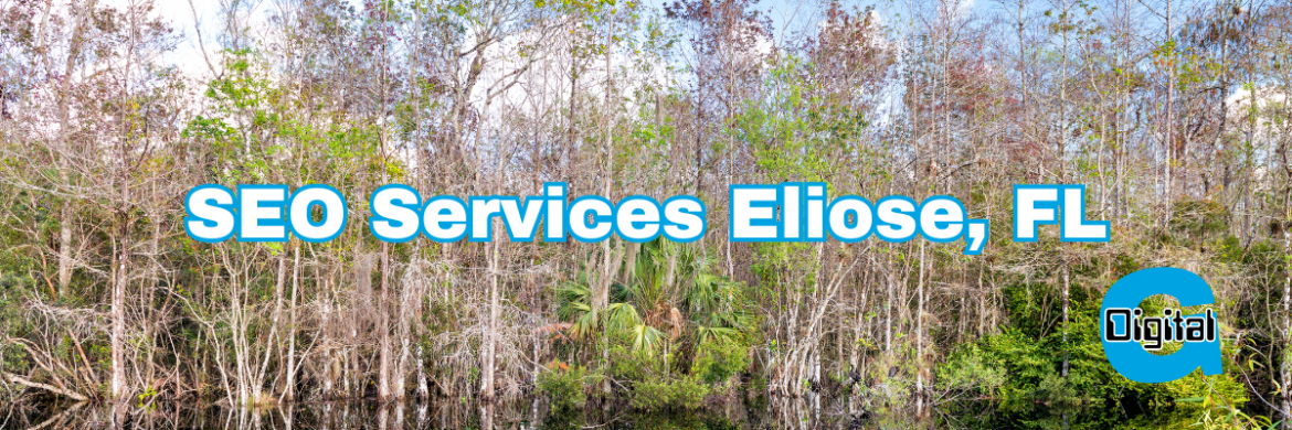 SEO Services Eliose, FL